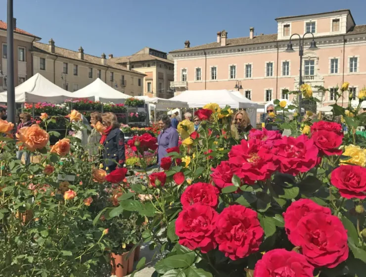 Ravenna in Fiore