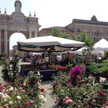 hotelstarcesenatico en cesenatico_vacanze_en 038